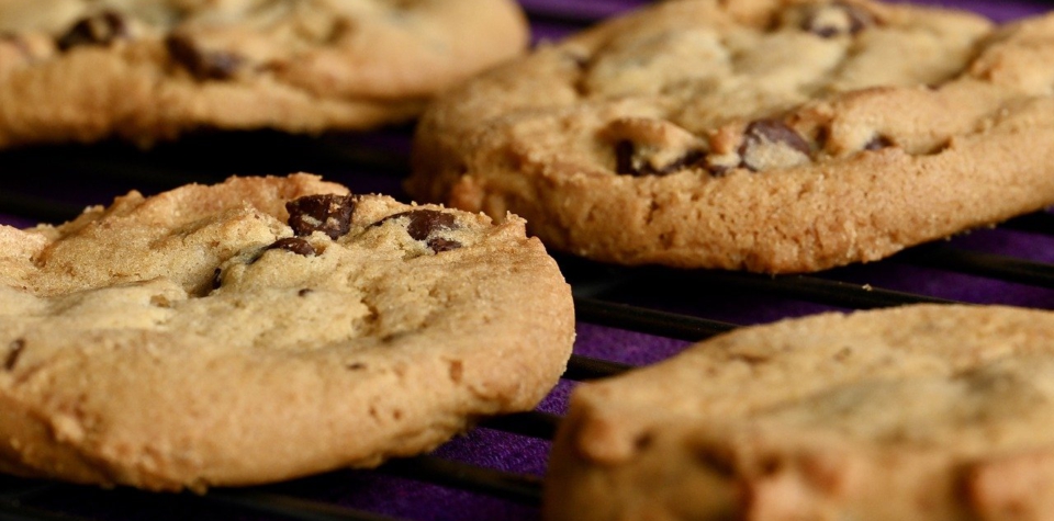 chocolate chip cookies